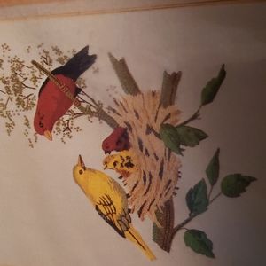 Crewel embroidery kit Avon Scarlet Tanager picture kit.